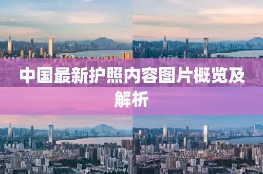 中國最新護照內(nèi)容圖片概覽及解析