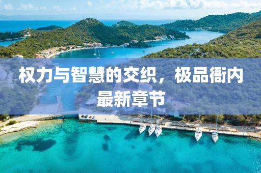 權(quán)力與智慧的交織，極品衙內(nèi)最新章節(jié)