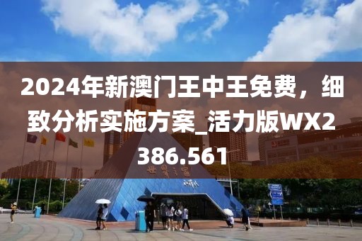 2024年新澳門王中王免費，細致分析實施方案_活力版WX2386.561