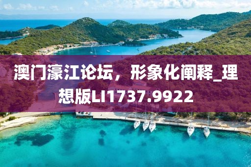 澳門濠江論壇，形象化闡釋_理想版LI1737.9922