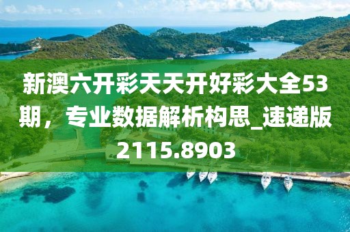 新澳六開彩天天開好彩大全53期，專業(yè)數(shù)據(jù)解析構(gòu)思_速遞版2115.8903