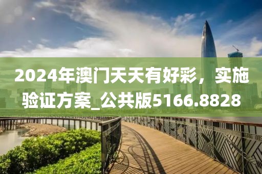 2024年澳門天天有好彩，實施驗證方案_公共版5166.8828