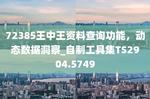 72385王中王資料查詢功能，動態(tài)數(shù)據(jù)洞察_自制工具集TS2904.5749