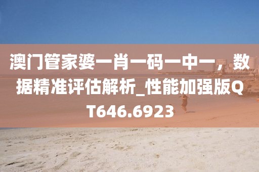 澳門管家婆一肖一碼一中一，數(shù)據(jù)精準評估解析_性能加強版QT646.6923