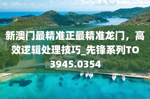 新澳門最精準(zhǔn)正最精準(zhǔn)龍門，高效邏輯處理技巧_先鋒系列TO3945.0354