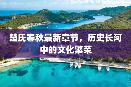 楚氏春秋最新章節(jié)，歷史長(zhǎng)河中的文化繁榮