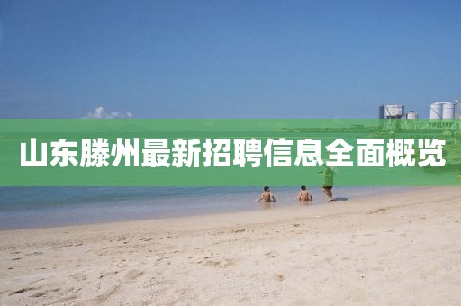 山東滕州最新招聘信息全面概覽