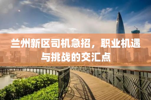 蘭州新區(qū)司機(jī)急招，職業(yè)機(jī)遇與挑戰(zhàn)的交匯點(diǎn)
