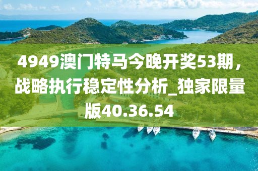 4949澳門特馬今晚開(kāi)獎(jiǎng)53期，戰(zhàn)略執(zhí)行穩(wěn)定性分析_獨(dú)家限量版40.36.54
