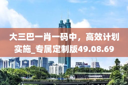 大三巴一肖一碼中，高效計劃實施_專屬定制版49.08.69