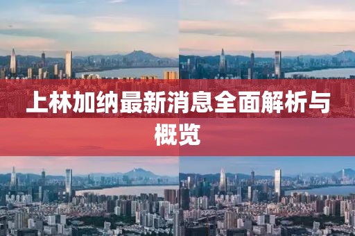 上林加納最新消息全面解析與概覽