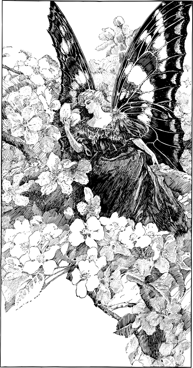 蝴蝶最新底板，科技與藝術(shù)的完美融合