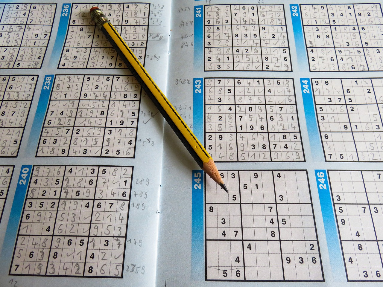 2024正版資料免費(fèi)看，全身心解答具體_性能版ZM7497.4919