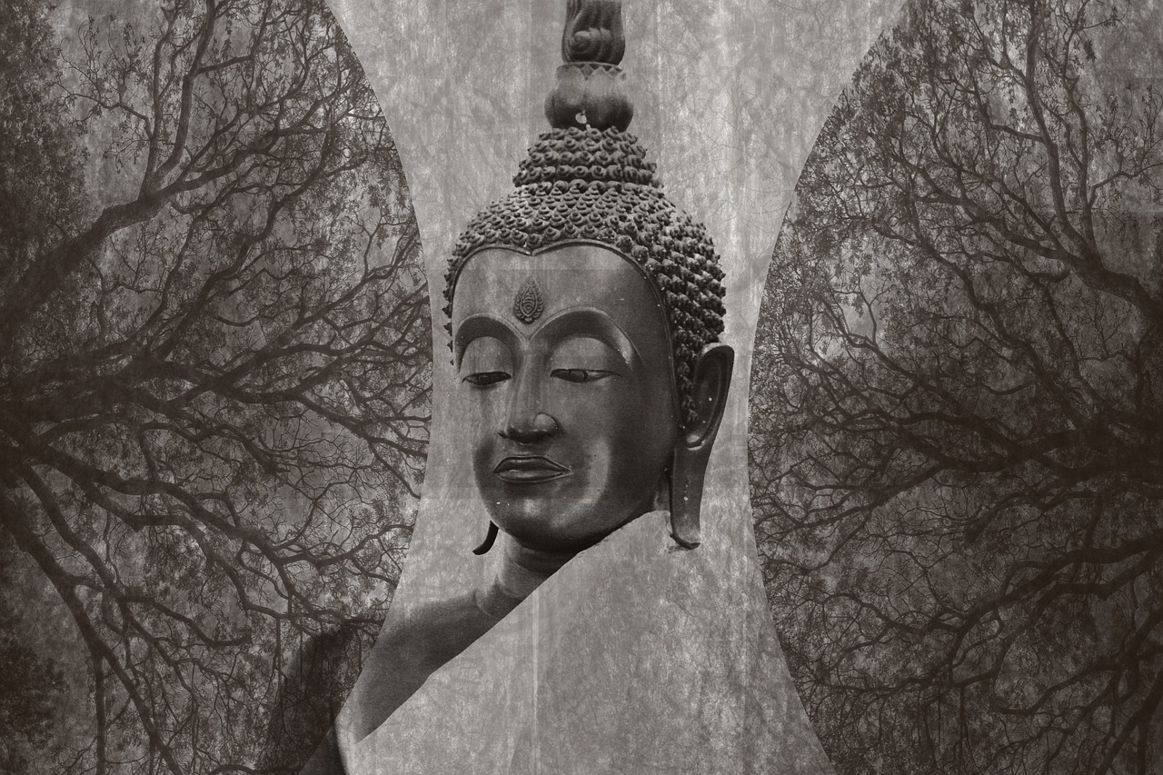 探尋神秘世界的奇異之旅——我以陰府鎮(zhèn)陽間最新章節(jié)解析