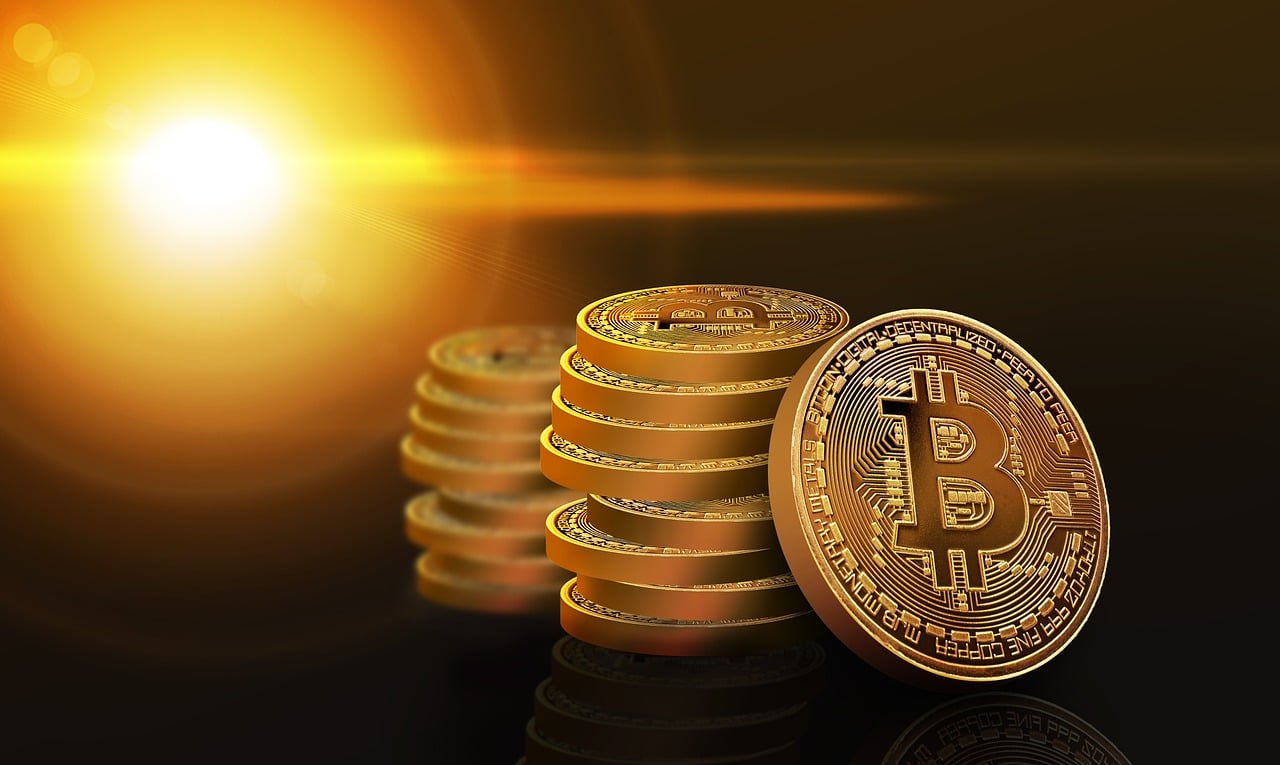 忘仙答題最新答案解析與探討，揭秘最新答案及探討交流